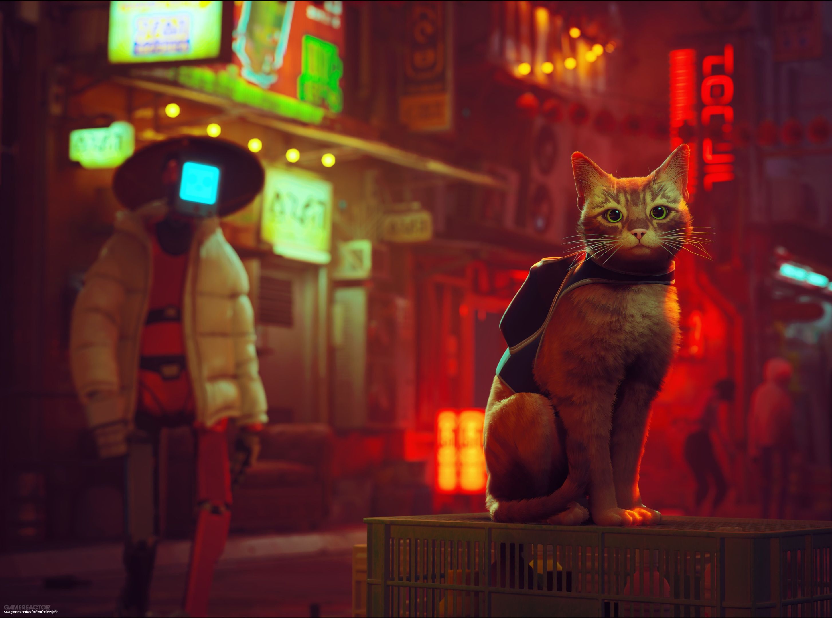 Stray игра 2022. Игра кот в городе. Игра кот в городе. Игра про кота 2022 stray. A street cat's tale последняя версия.