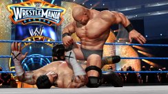 media/80/wweallstars_238001t.jpg