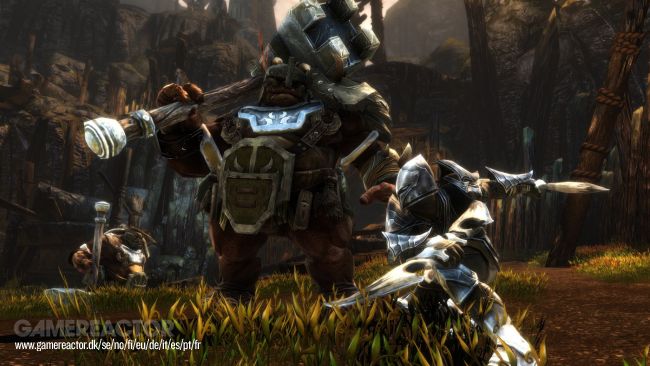 Kingdoms of Amalur: Re-Reckoning
