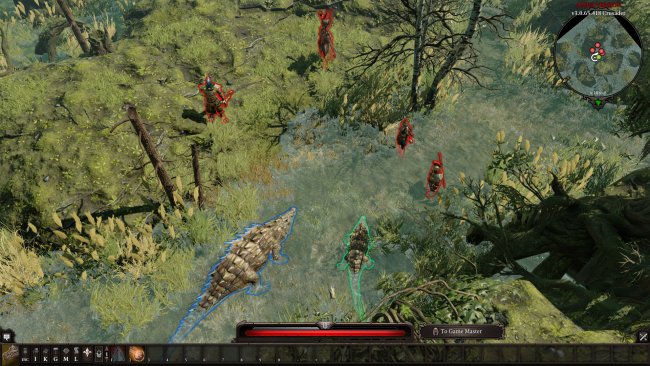 Divinity: Original Sin II