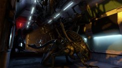media/83/aliens_248300t.jpg