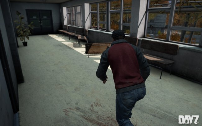 DayZ
