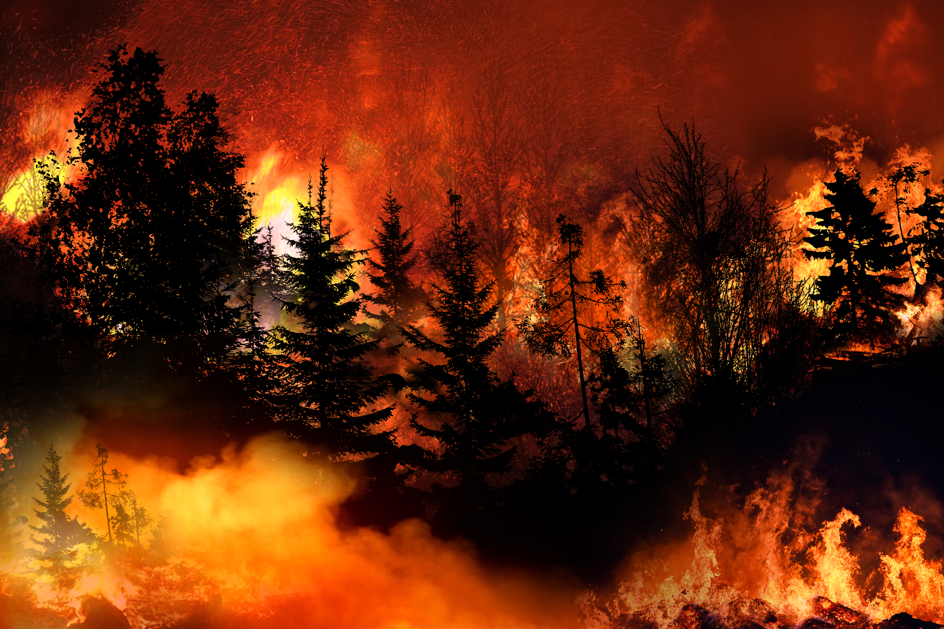 Wildfires force hundreds of tourists to evacuate in Greece and Croatia
