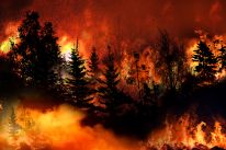 media/83/worstwildfiresince_4628333t.jpg