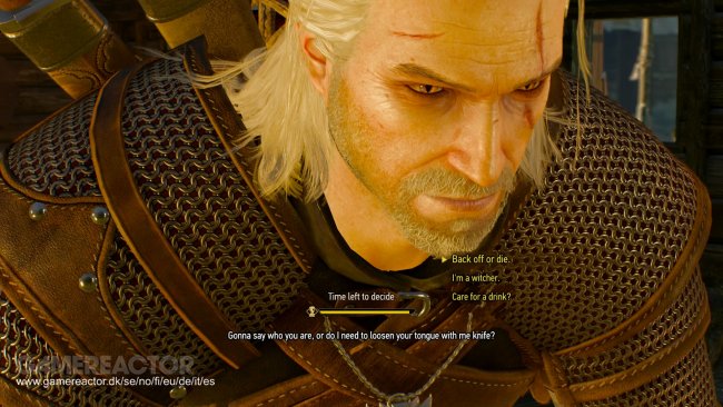 The Witcher 3: Wild Hunt