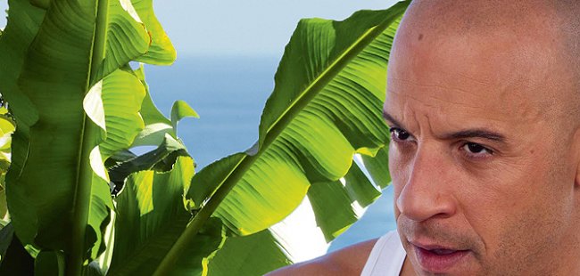 Fast & Furious 6 - Gamereactor UK