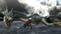 media/86/monsterhuntertri_188662t.jpg