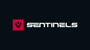 Sentinels enters Valorant Game Changers circuit with team created in collaboration with Blue Otter