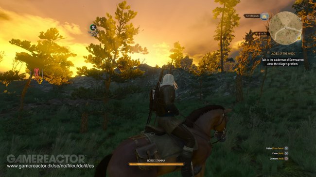 The Witcher 3: Wild Hunt