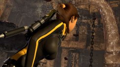 media/88/laracroftvisar_158808t.jpg