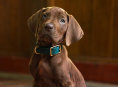 Scooby-Doo will be a real dog in Netflix's live-action prequel series Scooby-Doo: Origins