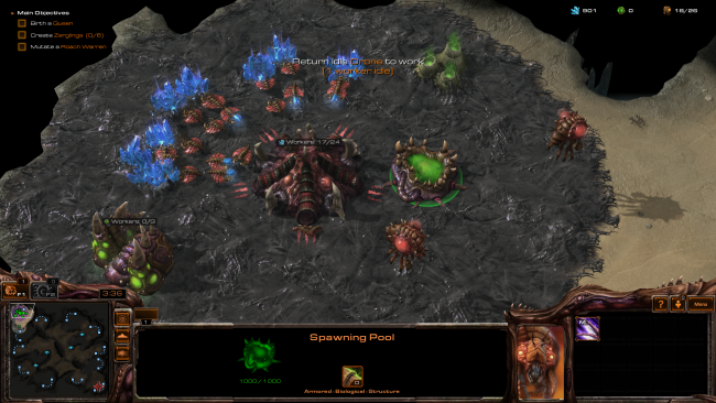 Starcraft II: Heart of the Swarm
