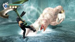 media/89/ninjagaiden_8964t.jpg