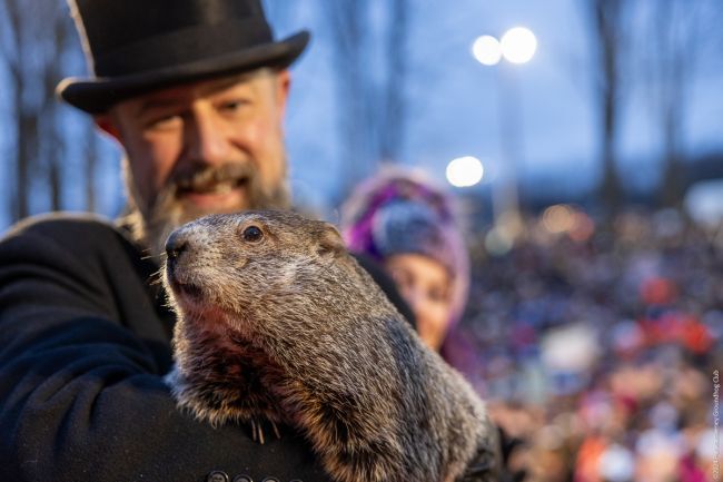 Punxsutawney Phil predicts six more weeks of winter for the US on Groundhog Day