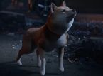 Fans want to pet the Project GG dog and Kamiya knows it