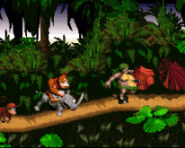 media/90/donkeykongcountryland_1289074t.gif