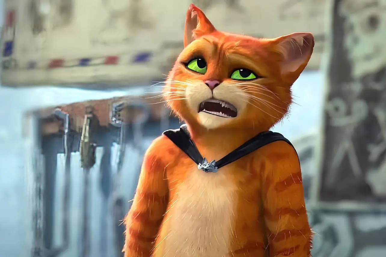 Puss In Boots Irl at Claire Grissom blog Puss In Boots Irl at Claire Grissom blog