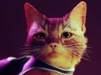 Stray gets ready for its arrival on Xbox consoles