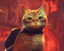 media/91/_3839193t.png