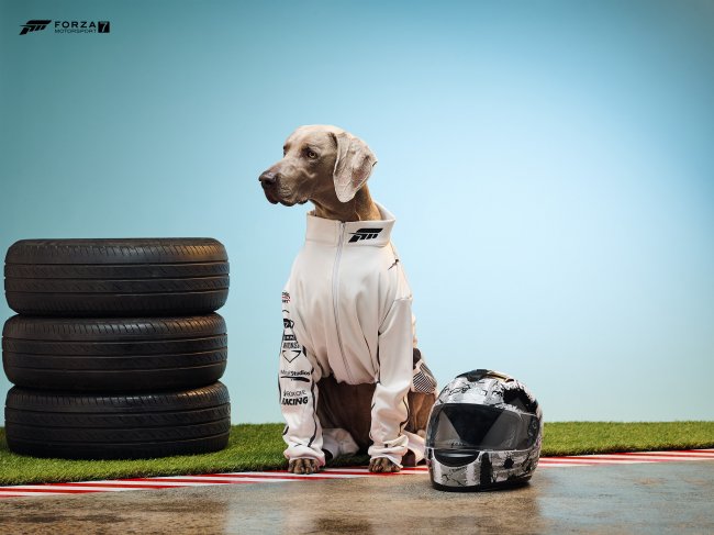 Xbox celebrates the Year of the Dog... with dogs