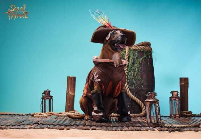 Xbox celebrates the Year of the Dog... with dogs