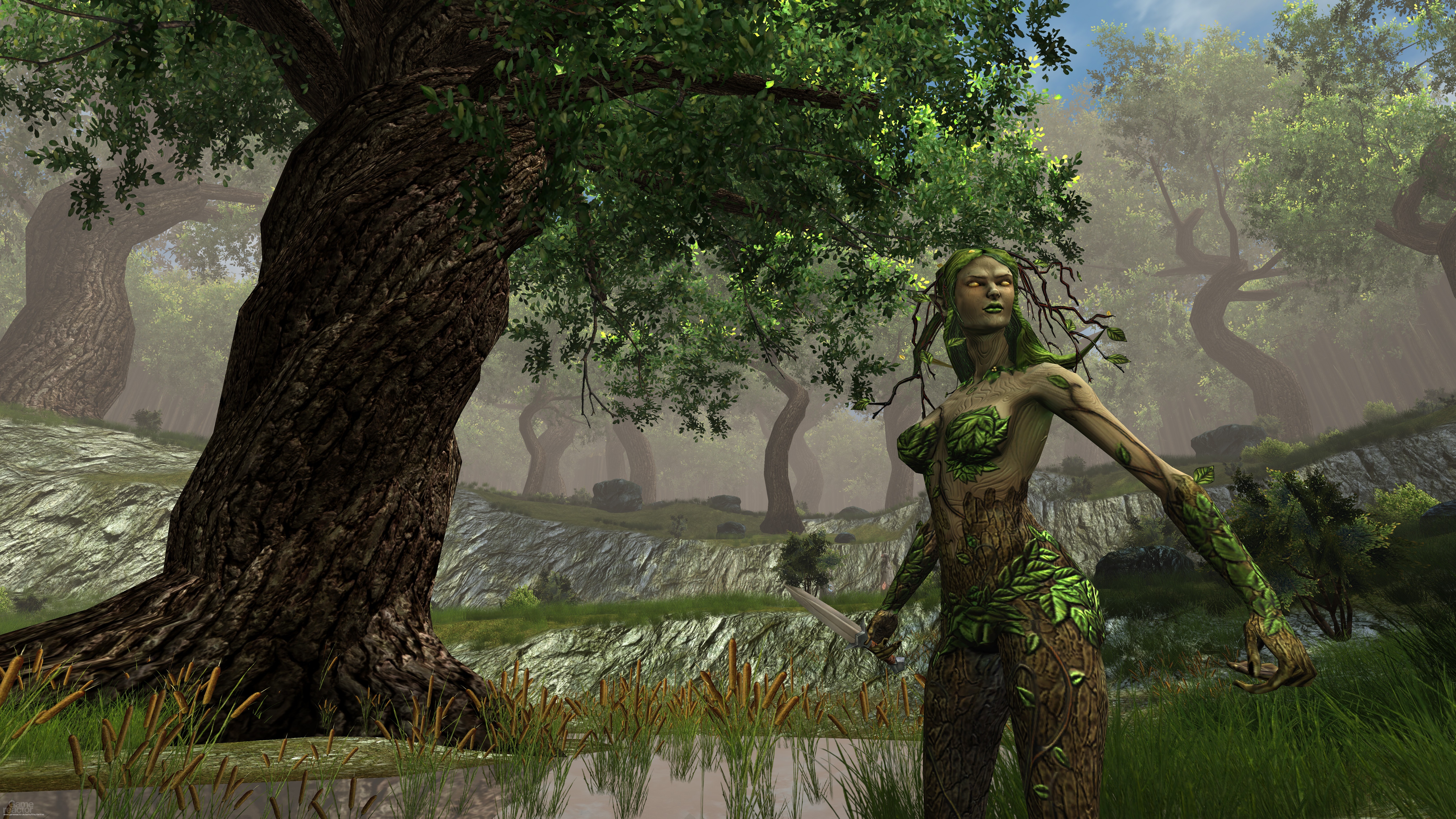 Dungeons & Dragons Online - Gamereactor UK