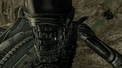 media/94/alienspredator_billeder_189457t.jpg