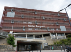 French hospital evacuated after WWI artillery shell found in patient's rectum during surgery