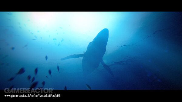 Under the Waves