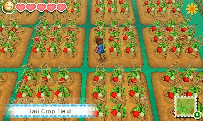 Story of Seasons