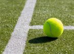 Wimbledon semi-finals on Thursday and Friday: Zverev and Fery in ATP, Kostyuk and Noskova in WTA
