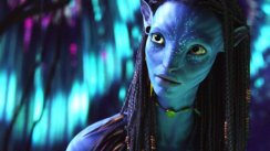 media/99/avatar_209991t.jpg