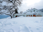 At least 30 people dead and around 200 injured after weeks of heavy snowfall in Japan