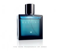 media/99/microsoftmocksdestiny_1259994t.jpg