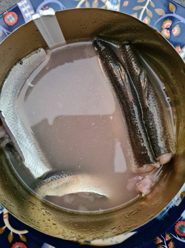Tonight we're going to eat fermented herring, you may believe