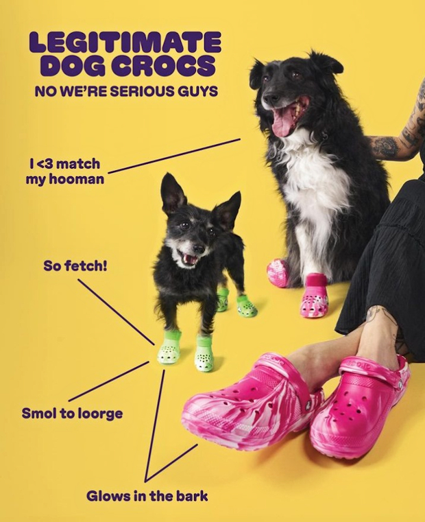 Think I need Foppa slippers for the dogs