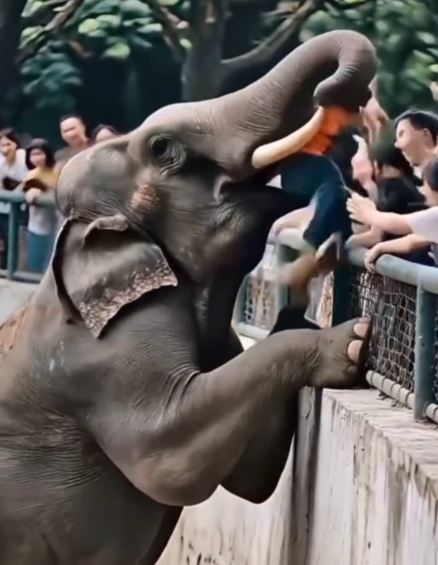 Sick and tired of AI fakes in social media