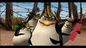 Madagascar: Escape 2 Africa - Environments Trailer