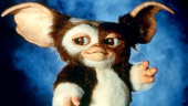 Steven Spielberg and Chris Columbus control the destiny of the Gremlins franchise