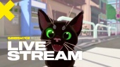 Little Kitty, Big City - Livestream Replay