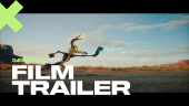 Coyote vs. ACME - Final Trailer