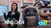 A Stylish AI Companion - Migomigo Interview at CES 2026