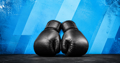 explainer combat sports