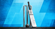 explainer cricket