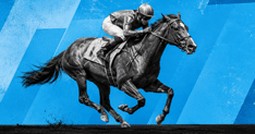 explainer horse racing